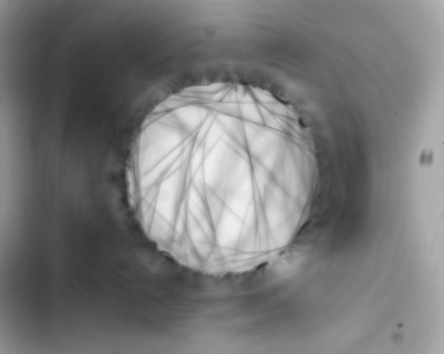 X0000103130192200809191950