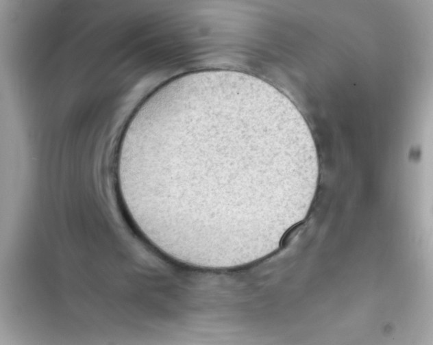 X0000103130193200809191949