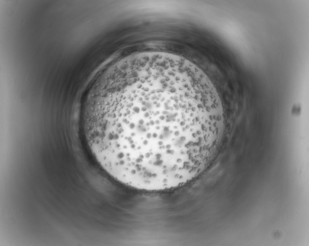 X0000103130194200809191949