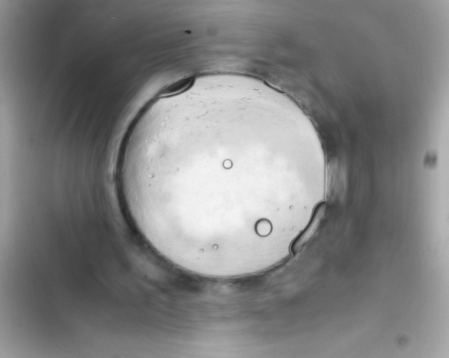 X0000103130195200809191949
