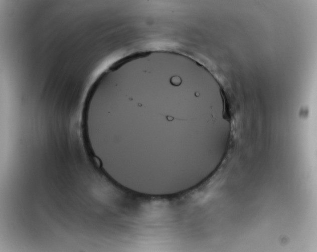 X0000103130196200809191949