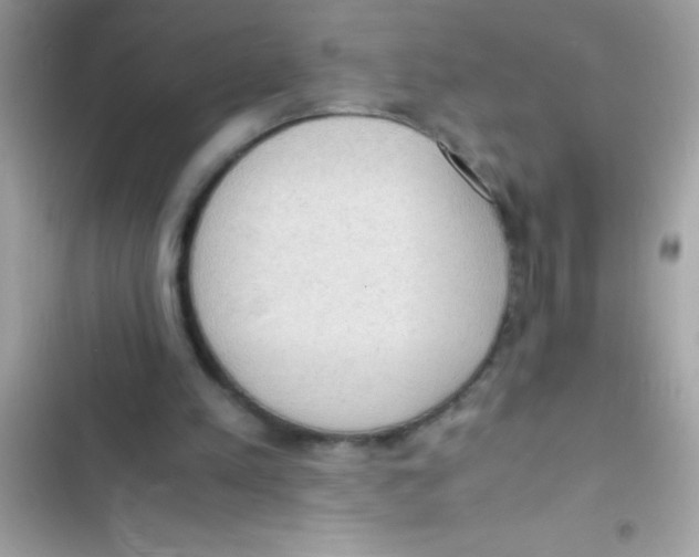 X0000103130197200809191949