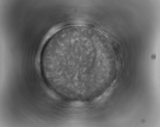 X0000103130198200809191949