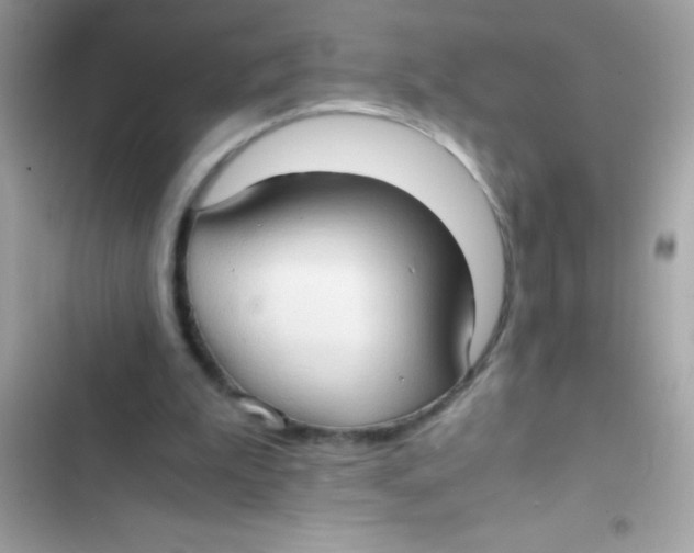 X0000103130199200809191949