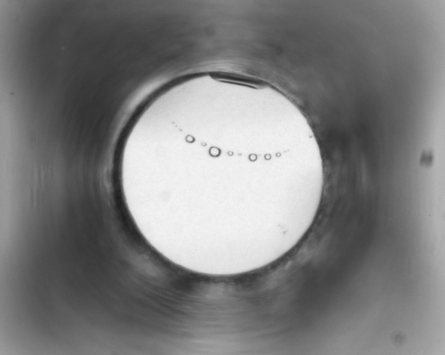 X0000103130200200809191949