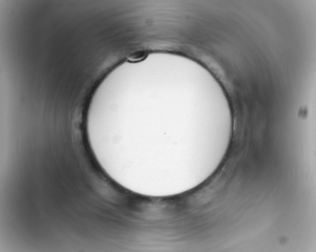 X0000103130201200809191949