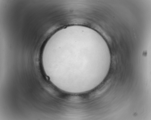 X0000103130203200809191949