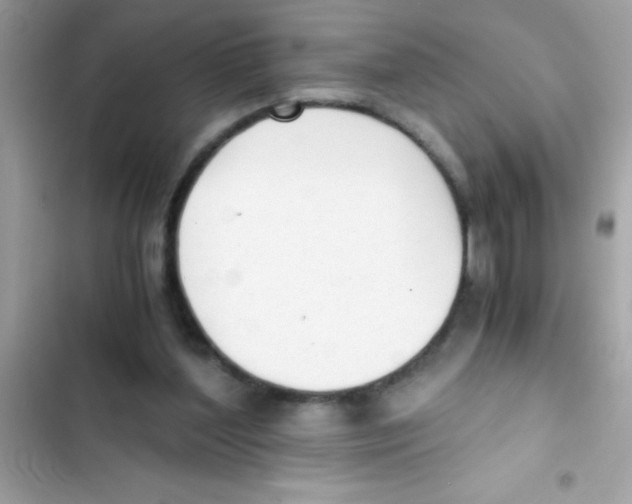 X0000103130204200809191949