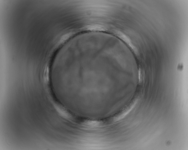 X0000103130205200809191949