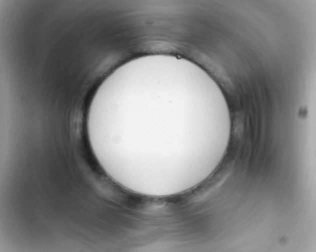X0000103130206200809191949