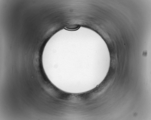 X0000103130207200809191949