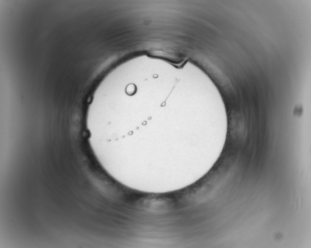 X0000103130208200809191949