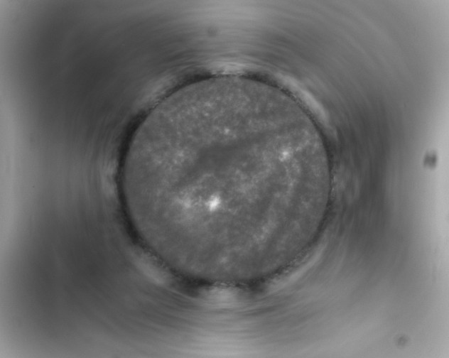 X0000103130209200809191949