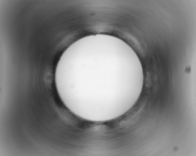 X0000103130210200809191949