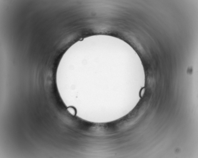 X0000103130211200809191949