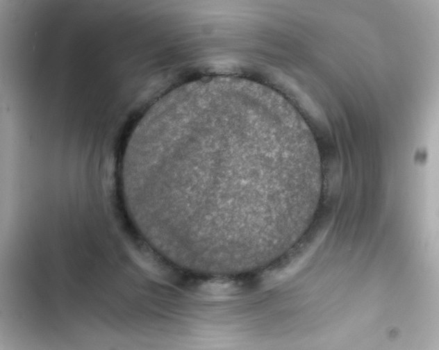X0000103130213200809191949