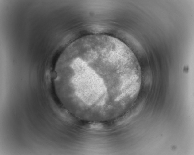 X0000103130214200809191949
