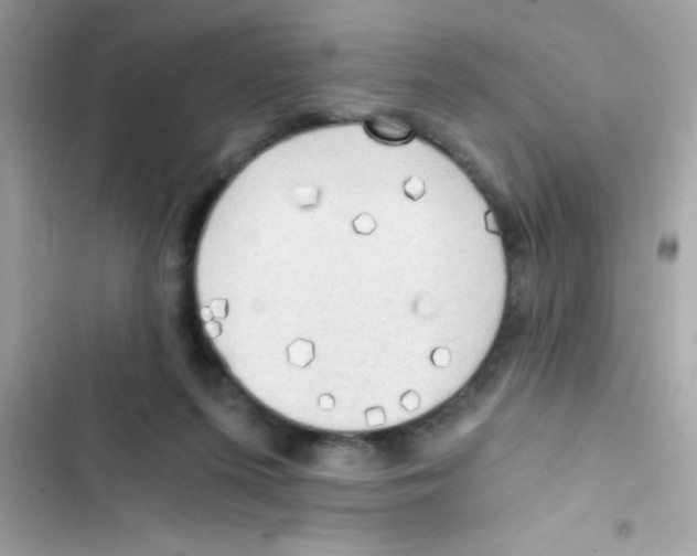 X0000103130215200809191949