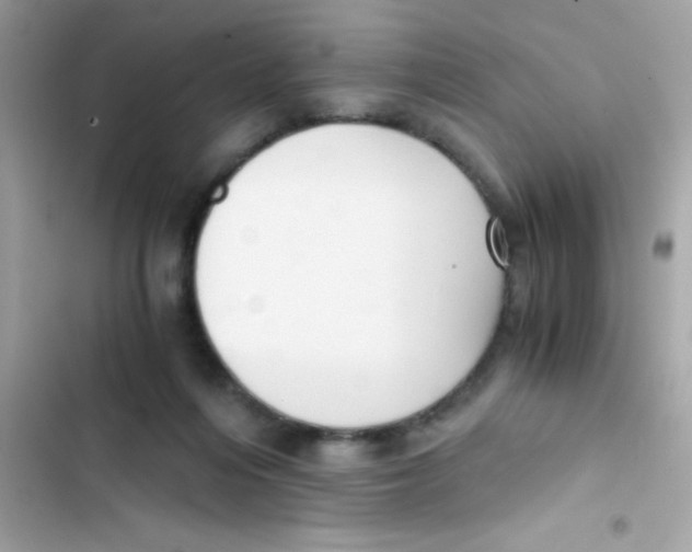 X0000103130216200809191949