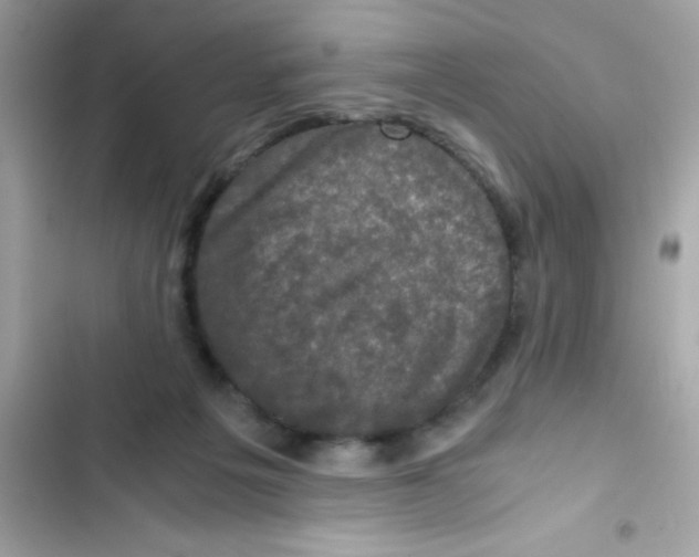 X0000103130217200809191949