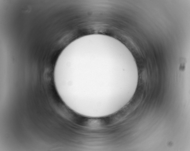 X0000103130218200809191949