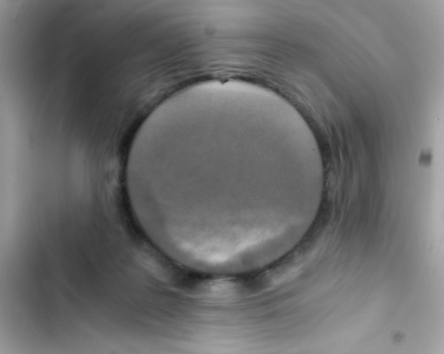 X0000103130219200809191949