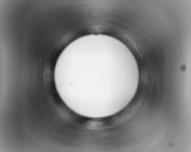X0000103130220200809191949