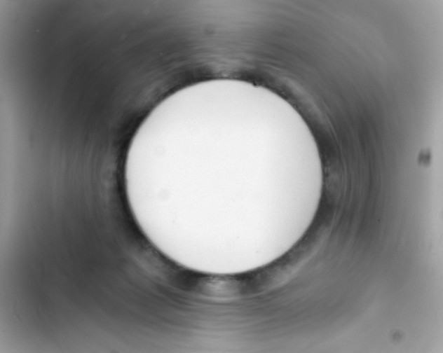 X0000103130221200809191949
