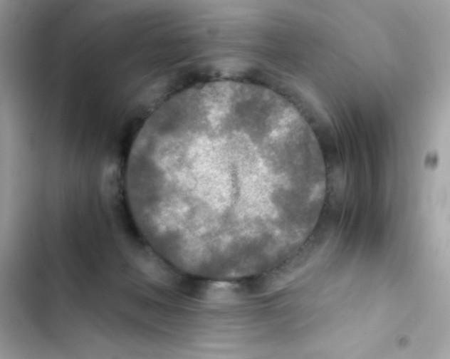 X0000103130222200809191948