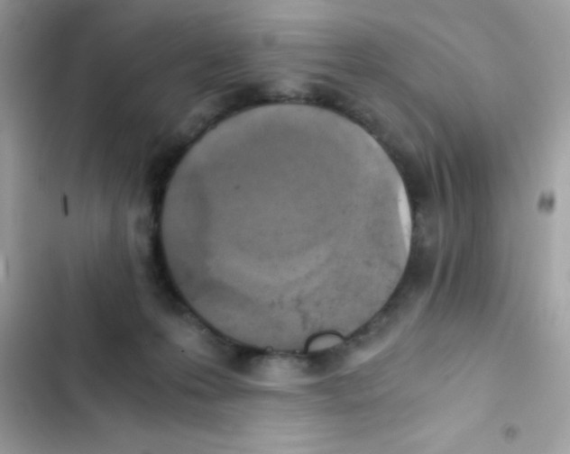 X0000103130223200809191948