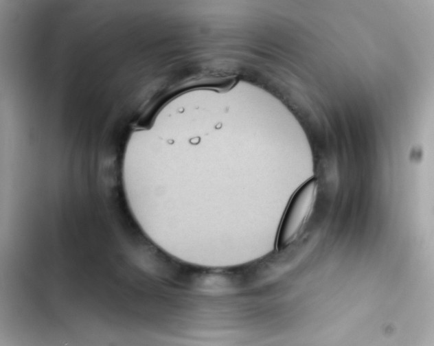 X0000103130224200809191948