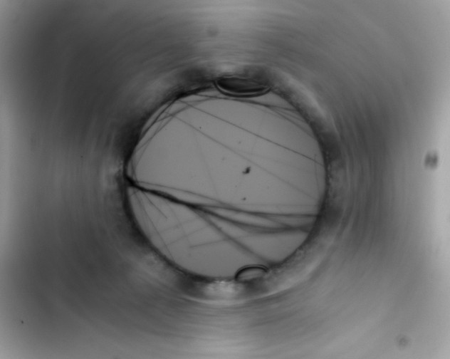 X0000103130225200809191948
