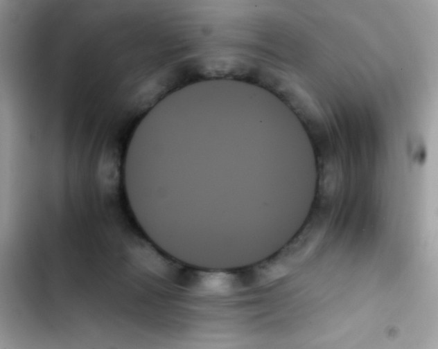 X0000103130226200809191948