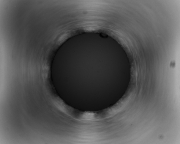 X0000103130227200809191948