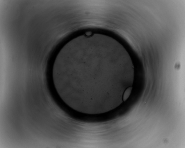 X0000103130228200809191948