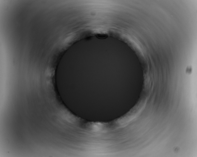 X0000103130229200809191948