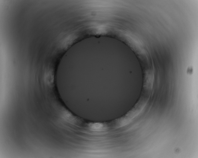 X0000103130230200809191948
