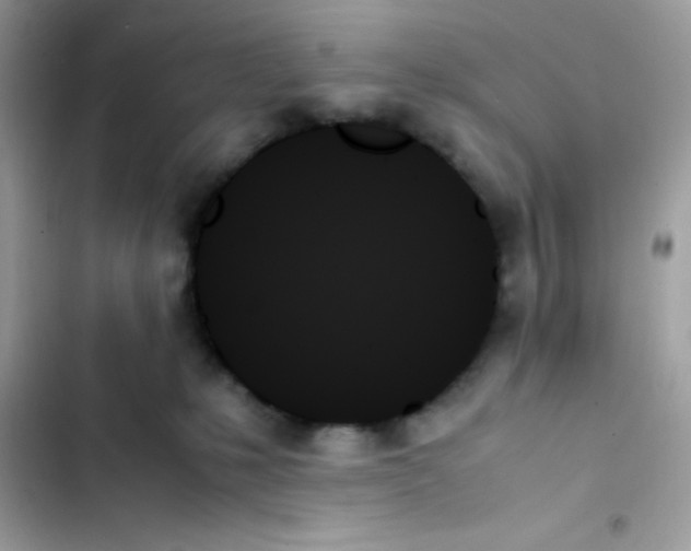 X0000103130231200809191948