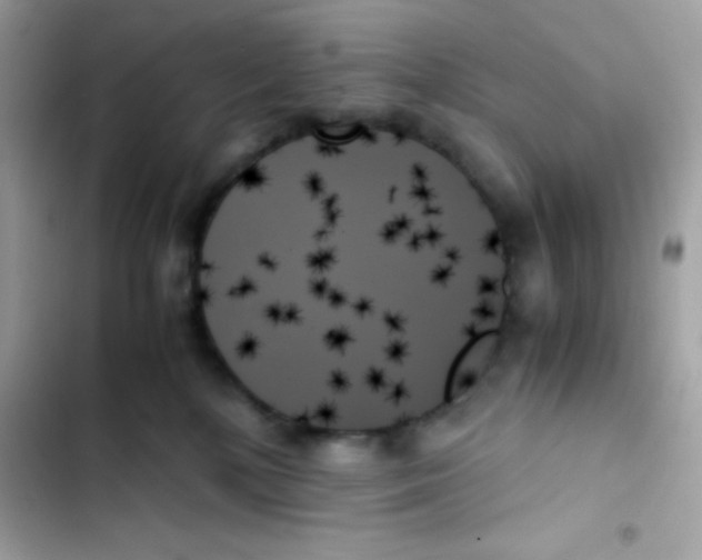 X0000103130232200809191948