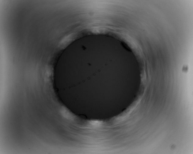 X0000103130233200809191948