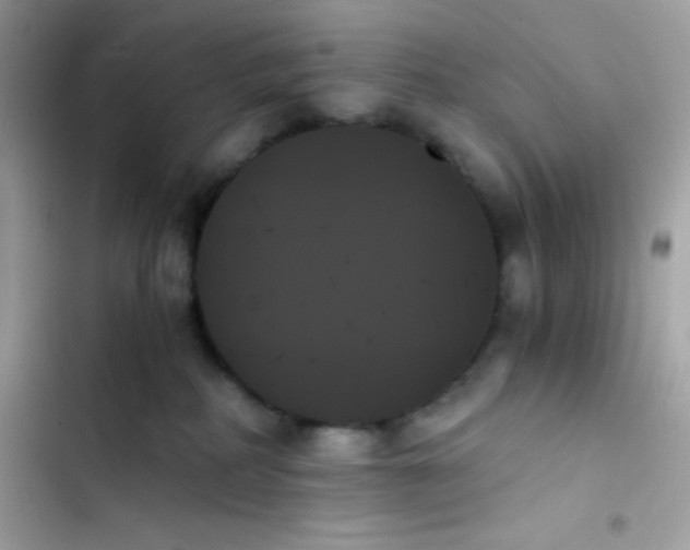 X0000103130234200809191948