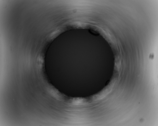 X0000103130235200809191948