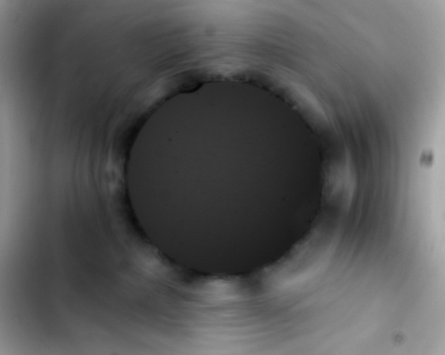 X0000103130236200809191948