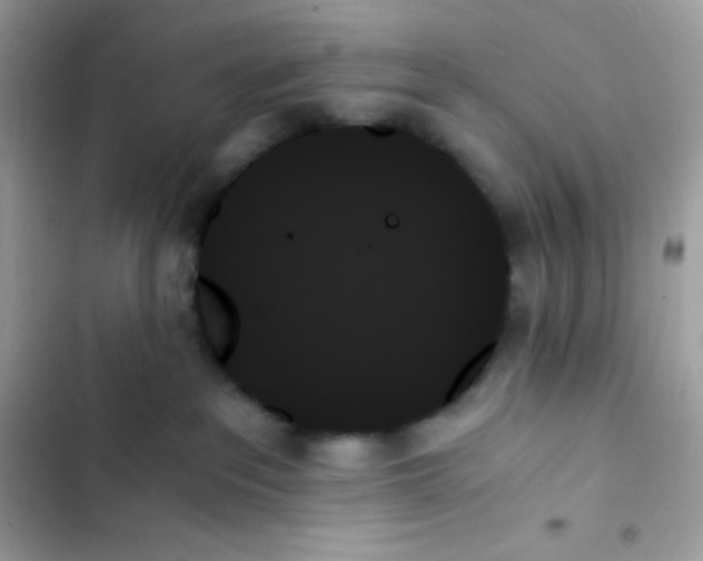 X0000103130237200809191948