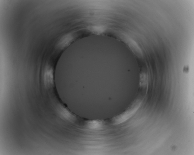 X0000103130238200809191948