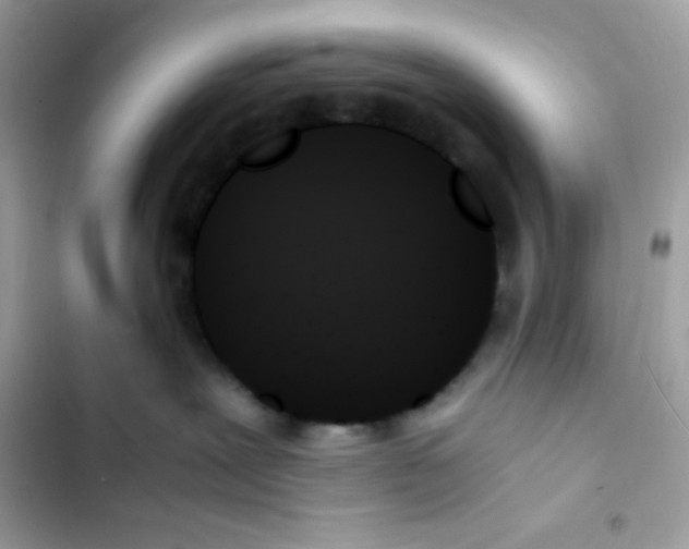 X0000103130239200809191948