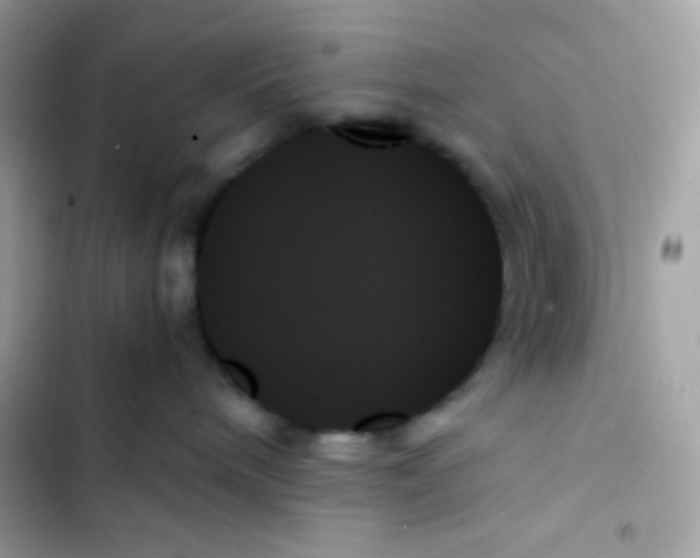 X0000103130240200809191948
