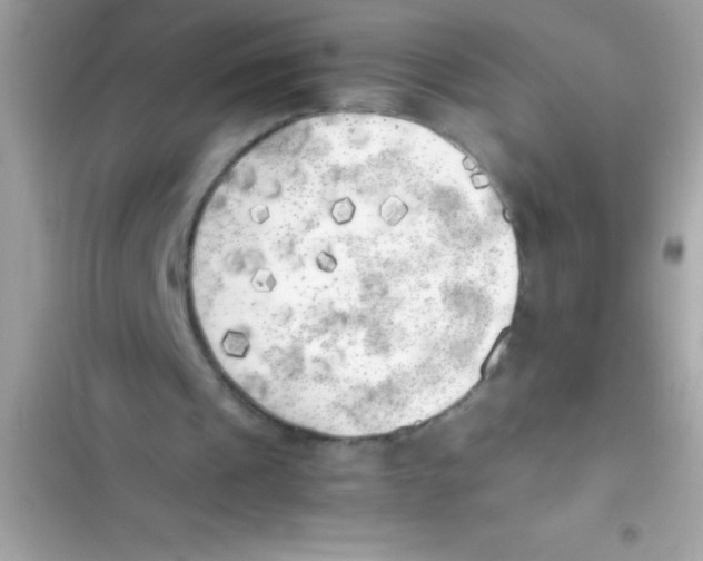 X0000103130241200809191948