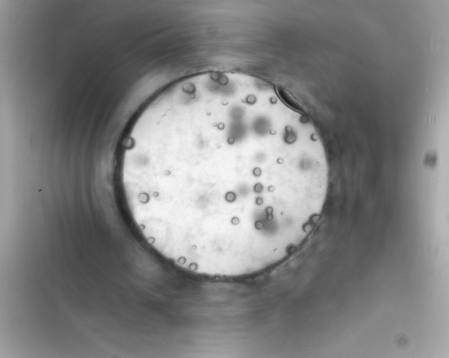 X0000103130242200809191948