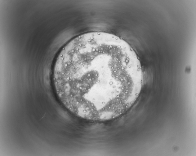 X0000103130243200809191948